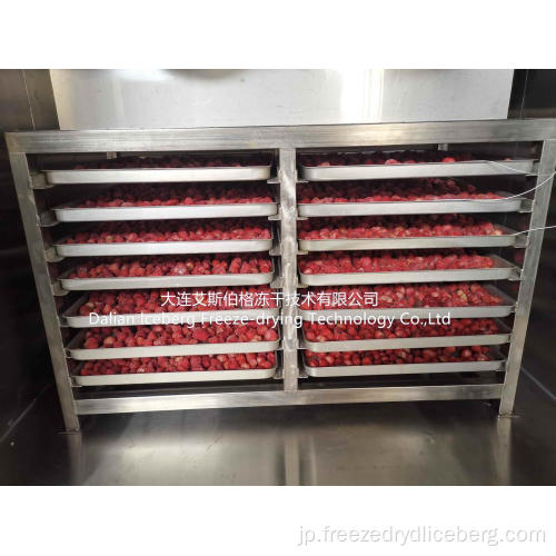 イチゴ果実凍結乾燥機